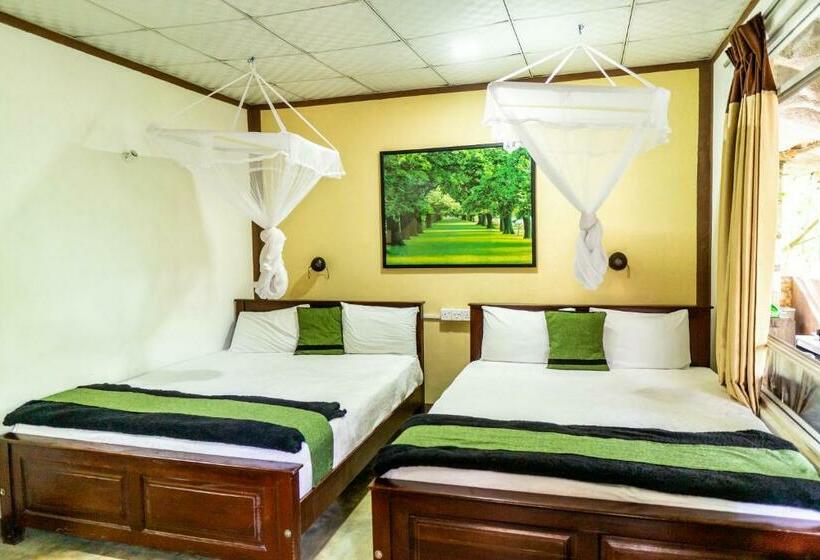 マウンテンビューファミリールーム, Ella Green Stay