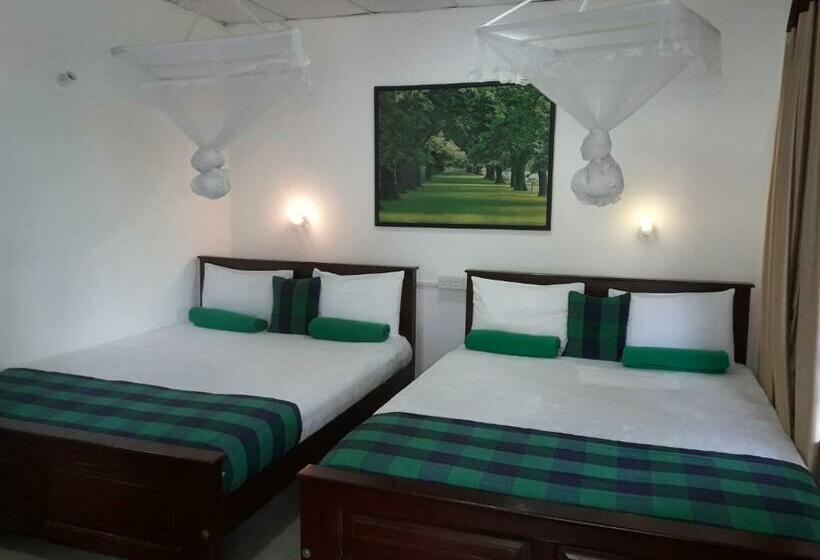 マウンテンビューファミリールーム, Ella Green Stay