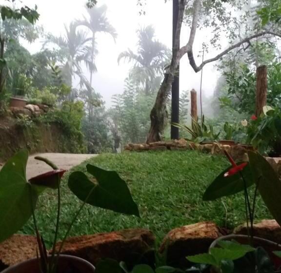 マウンテンビューファミリールーム, Ella Green Stay