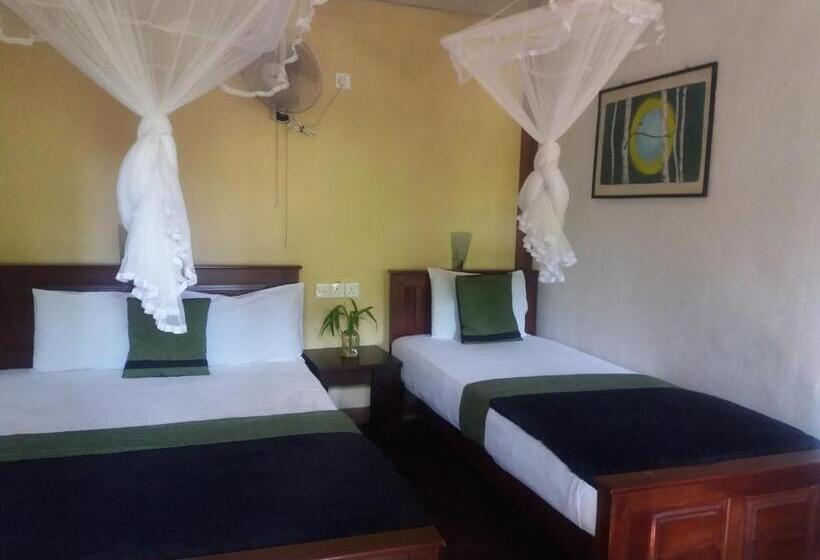 マウンテンビュースタンダードルーム, Ella Green Stay