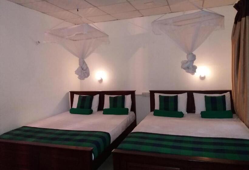 マウンテンビューファミリールーム, Ella Green Stay