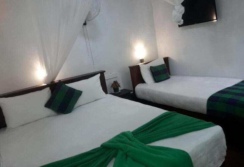 マウンテンビューファミリールーム, Ella Green Stay