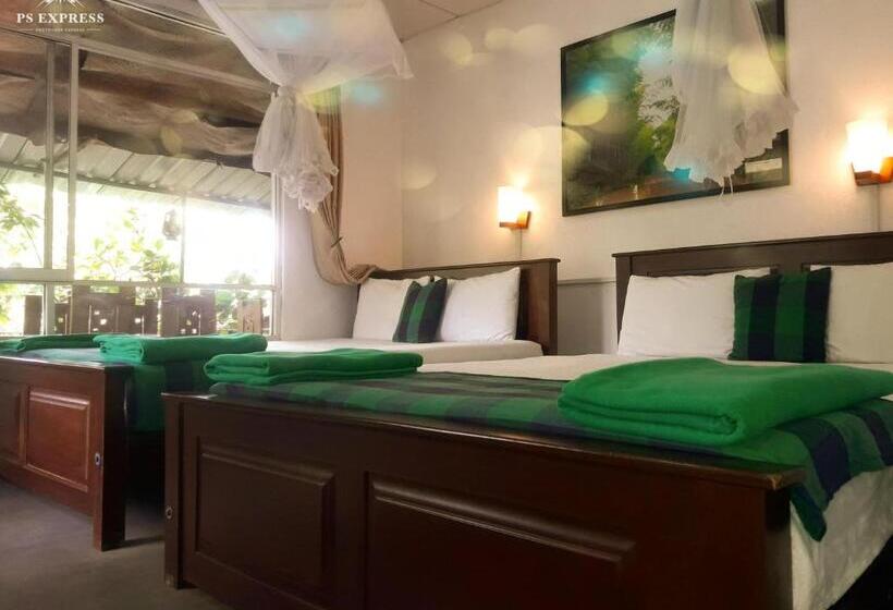 マウンテンビューファミリールーム, Ella Green Stay