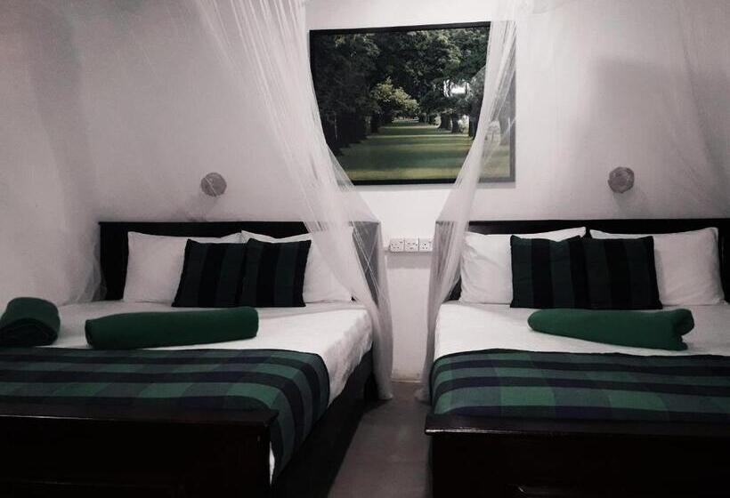 マウンテンビューファミリールーム, Ella Green Stay