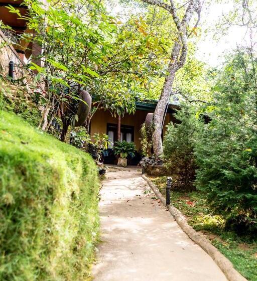 スリーベッドルーム　ヴィラ, Ella Green Stay