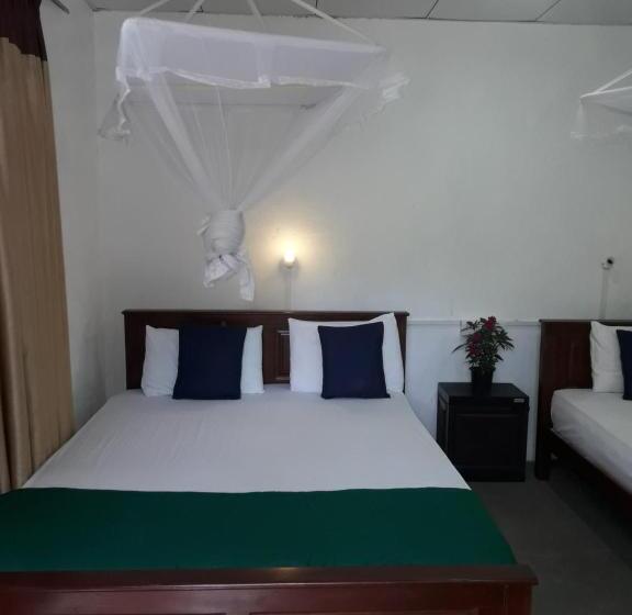 ファミリールーム, Ella Green Stay