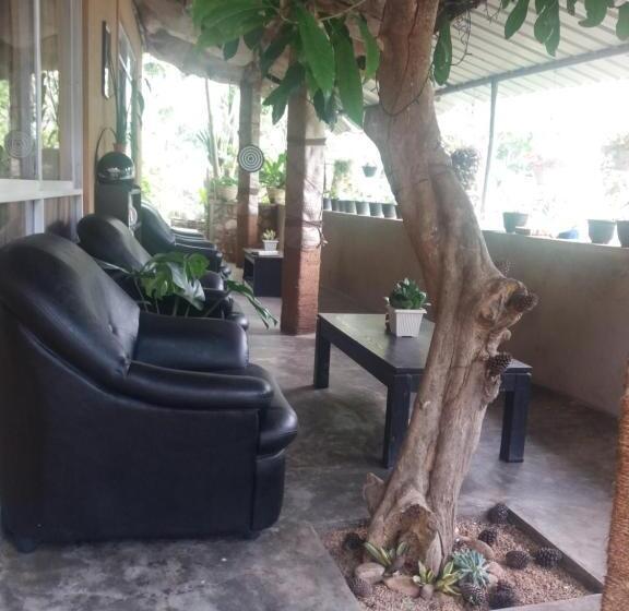 マウンテンビュースタンダードルーム, Ella Green Stay