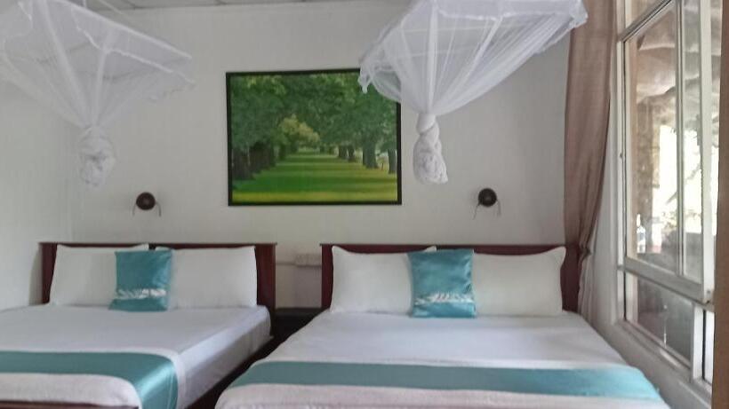 マウンテンビューファミリールーム, Ella Green Stay