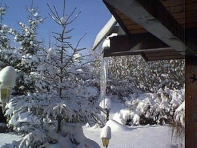 Апартаменты 2 Спальни, Holiday Park  Robinson