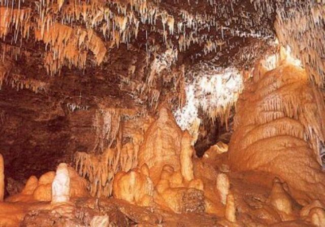 شقة غرفتين, Holiday Park  Robinson