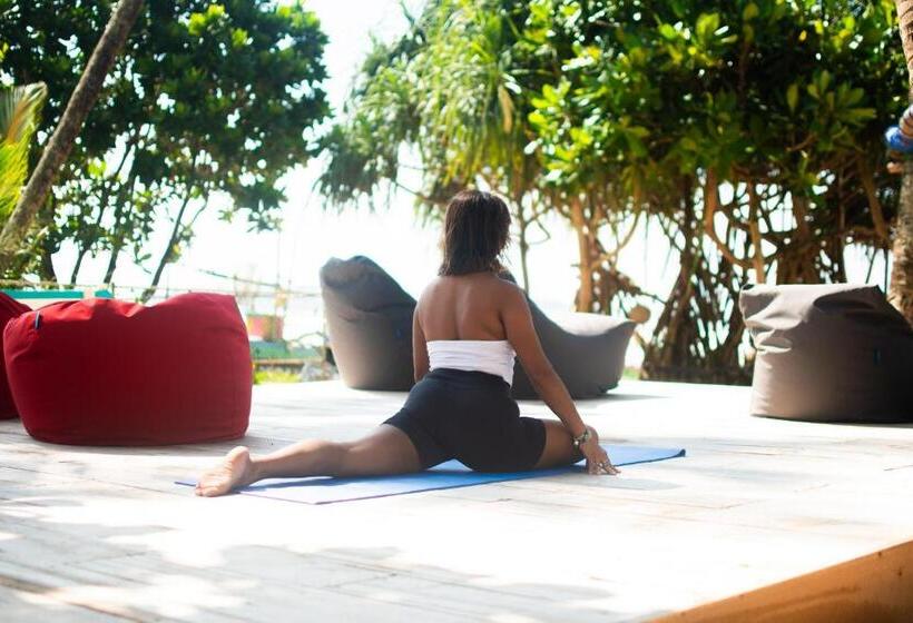 اتاق لوکس, The Green Rooms Surf & Yoga Camp   On The Beach   Prime Location Renovated 2024