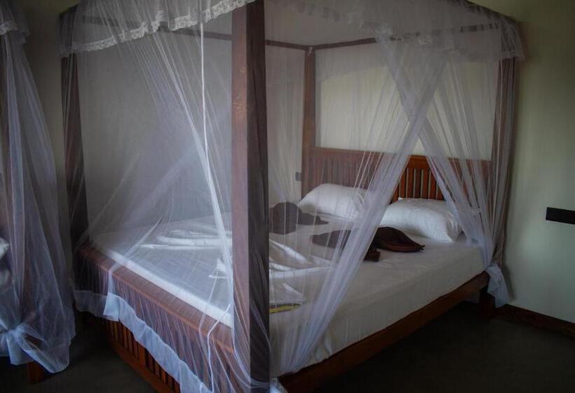 اتاق لوکس با بالکن و چشم‌انداز دریا, The Green Rooms Surf & Yoga Camp   On The Beach   Prime Location Renovated 2024