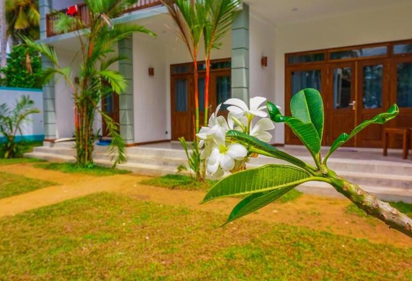 اتاق لوکس, The Green Rooms Surf & Yoga Camp   On The Beach   Prime Location Renovated 2024