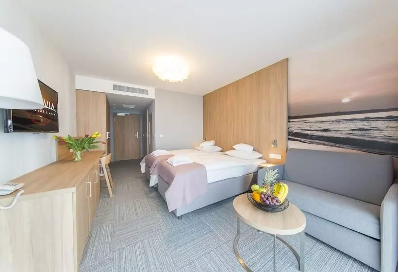 Standard-huone Merinäkymä, Baltivia Sea Resort