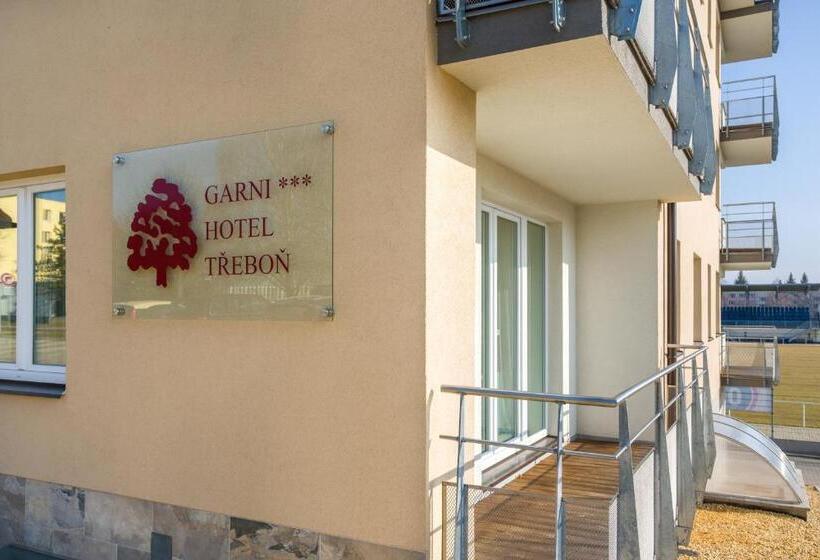 اتاق استاندارد یک نفره, Garni Hotel Třeboň