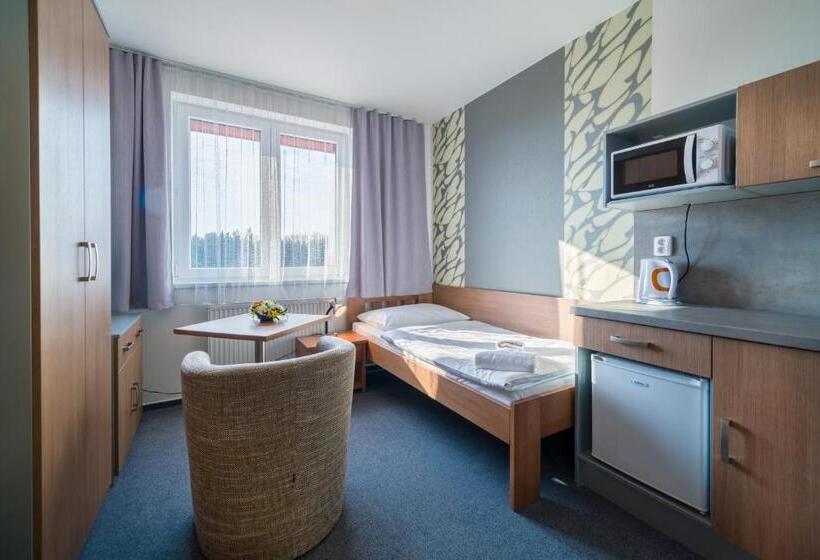 Номер Стандарт Индивидуальный, Garni Hotel Třeboň