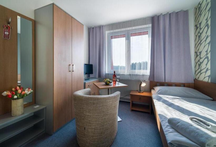 اتاق استاندارد یک نفره, Garni Hotel Třeboň