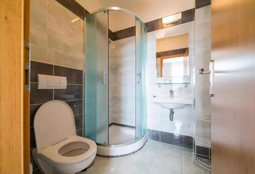اتاق عادی, Garni Hotel Třeboň