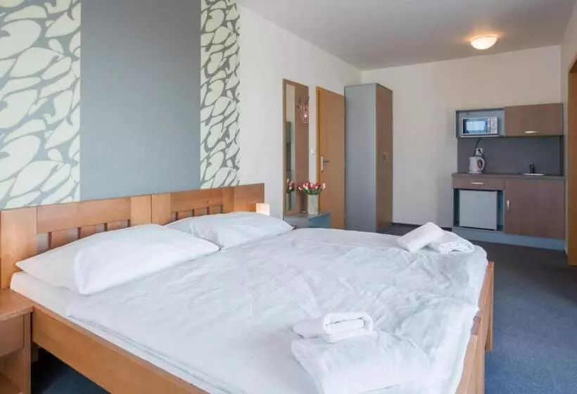 اتاق عادی, Garni Hotel Třeboň