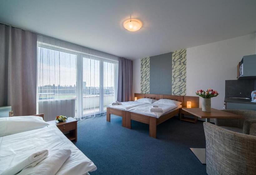 Pokój Standard Trzyosobowy, Garni Hotel Třeboň