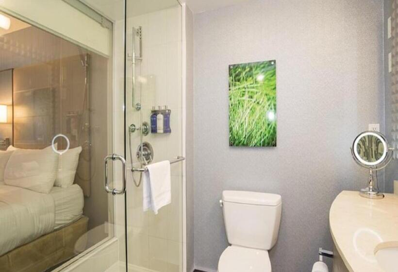 חדר דחוקס עם מיטת קינג, Blu