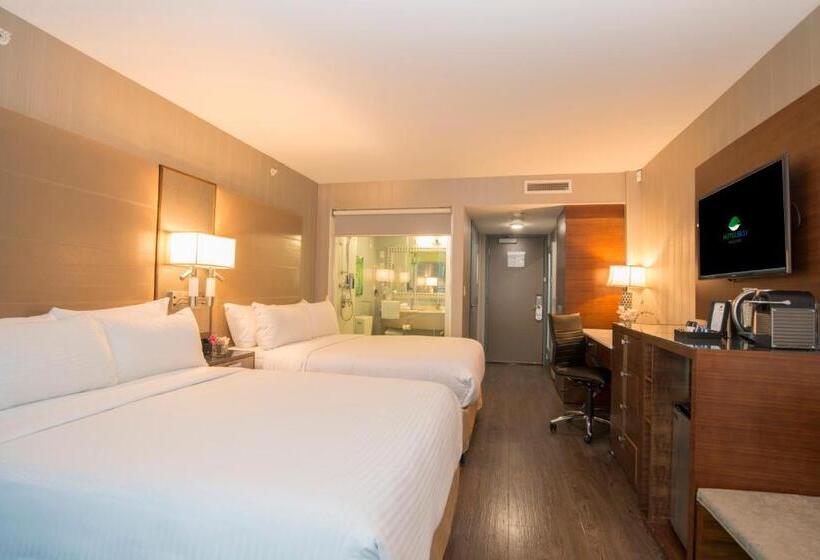 חדר דלוקס, Blu