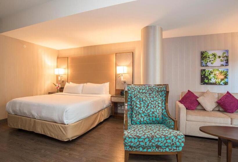 סוויטת אקזקיוטיב, עם מיטת קינג, Blu