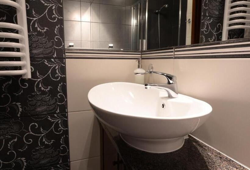 اتاق استاندارد یک نفره, Fryderyk