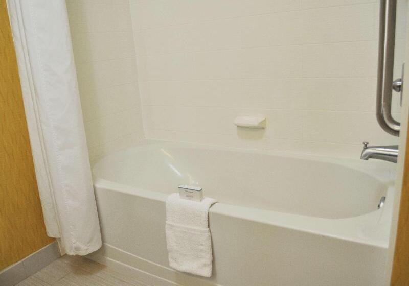 اتاق استاندارد با تخت بزرگ, Hampton Inn & Suites Toledo/westgate