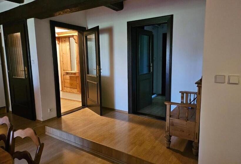 דירת חדר דלוקס, Penzion šiškův Mlýn