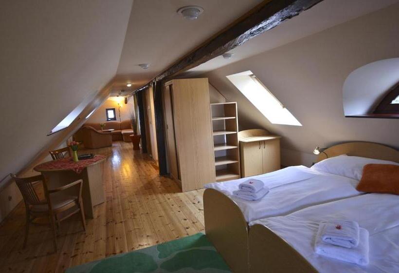 １ベッドルームアパートメント, U Kozicky