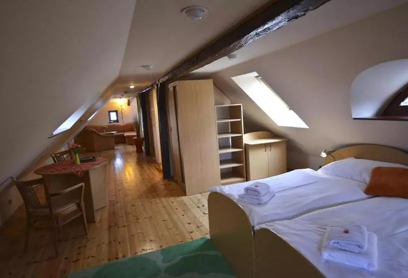 Appartamento 1 Camera da Letto, U Kozicky