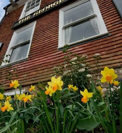スーペリアールーム, The George Inn