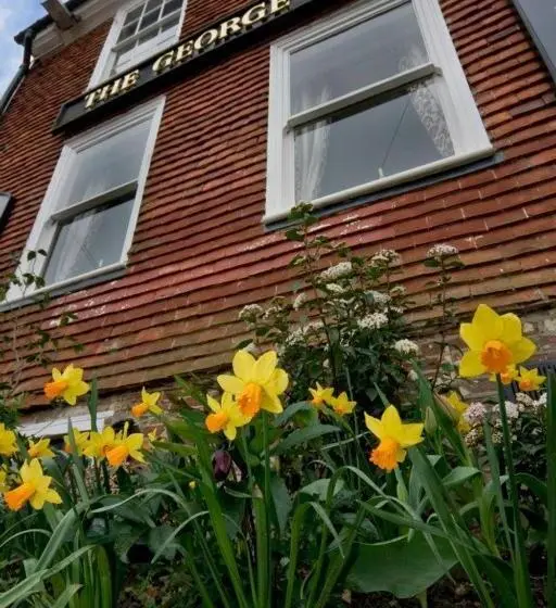 デラックスルーム, The George Inn