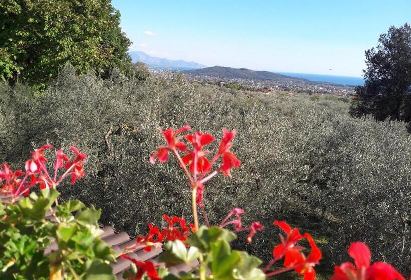 اتاق استاندارد با بالکن و چشم‌انداز دریا, B&b Villa Ada