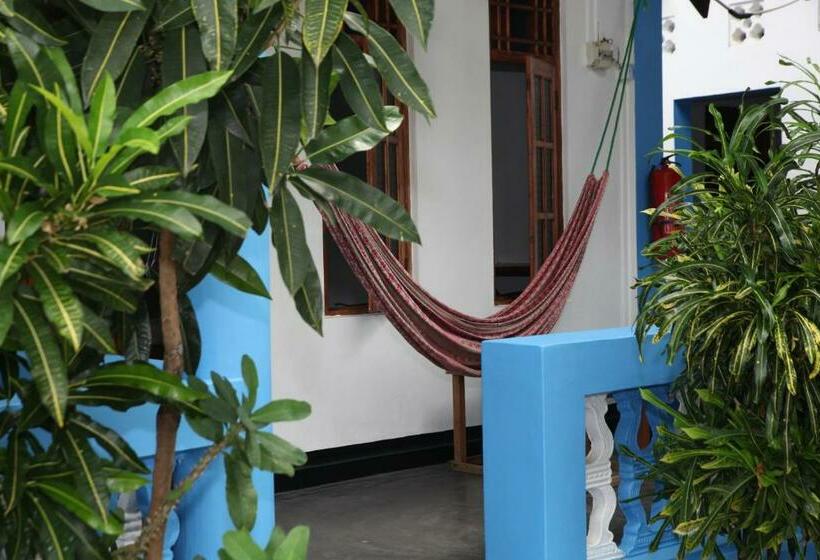 اتاق لوکس سه تخته, Surf Beach