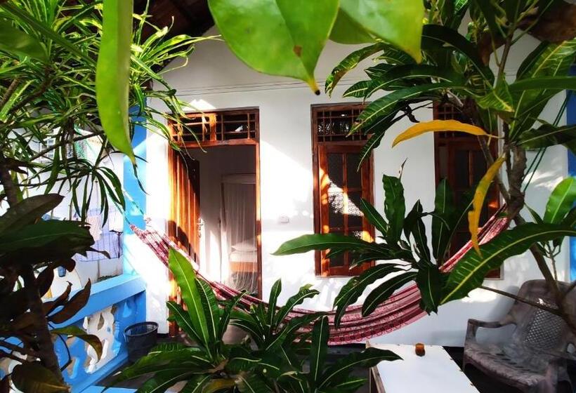 اتاق لوکس سه تخته, Surf Beach