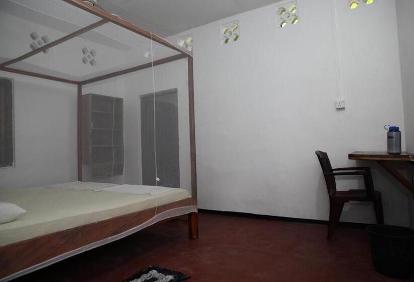 اتاق اکونومی, Surf Beach