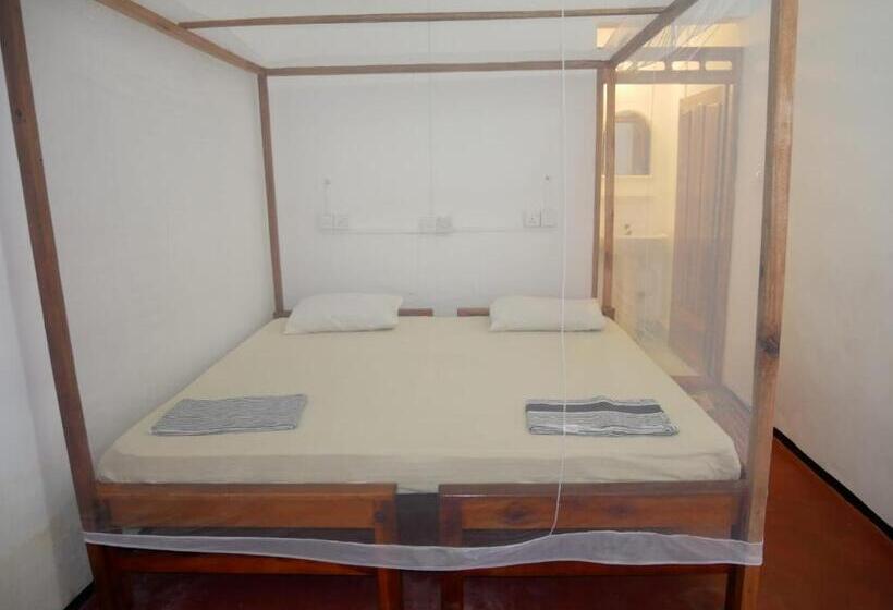 اتاق اکونومی, Surf Beach