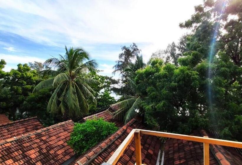 استودیوی استاندارد با چشمانداز دریا, Surf Beach