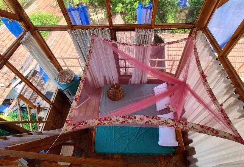 استودیوی استاندارد با چشمانداز دریا, Surf Beach