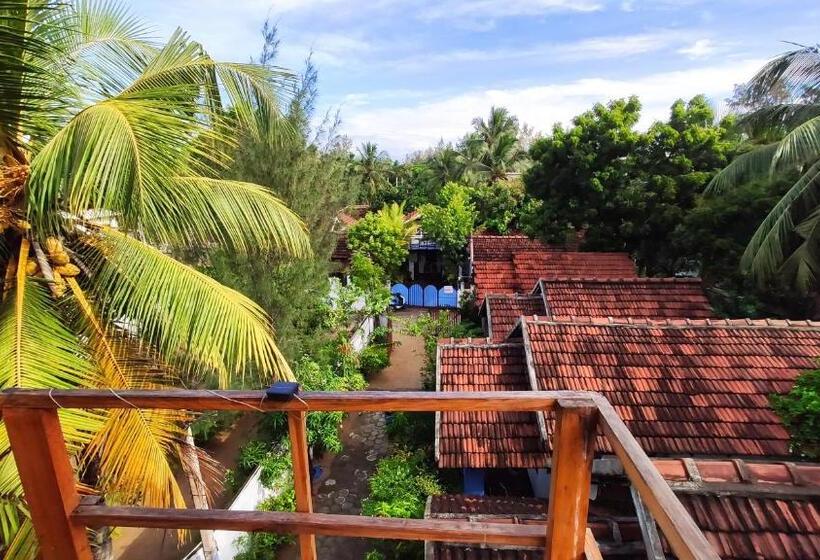 استودیوی استاندارد با چشمانداز دریا, Surf Beach