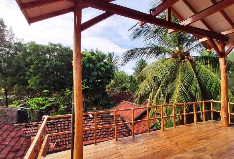 استودیوی استاندارد با چشمانداز دریا, Surf Beach