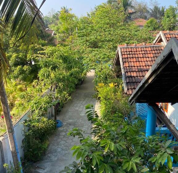 کلبه ییلاقی, Surf Beach