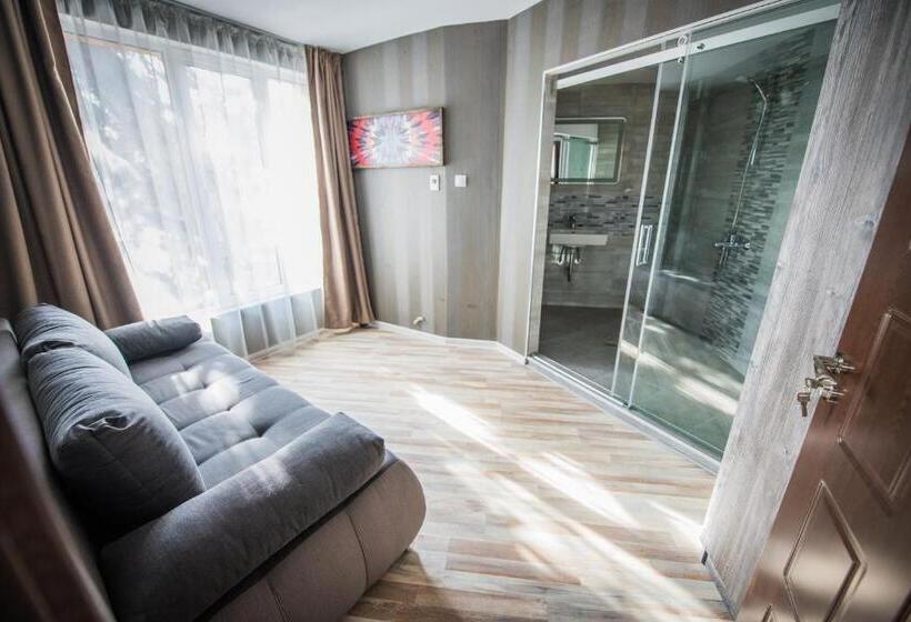 1ベッドルームのデラックスアパートメント, Vida Family