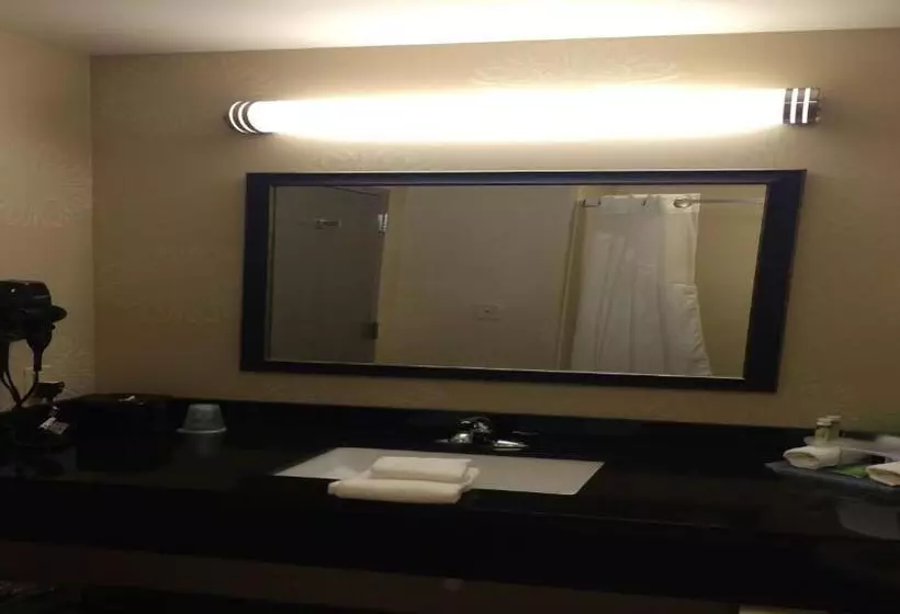 身障者適用キングサイズベッドルーム, Holiday Inn Guin, An Ihg