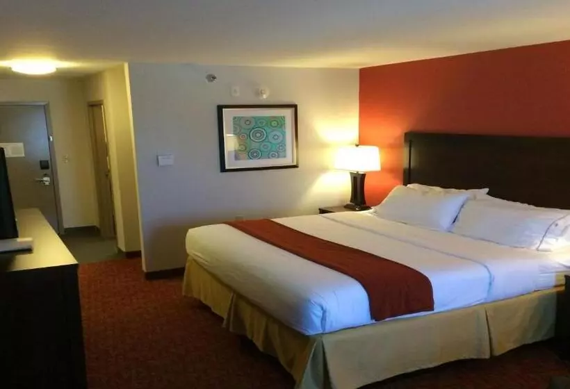 身障者適用キングサイズベッドルーム, Holiday Inn Guin, An Ihg