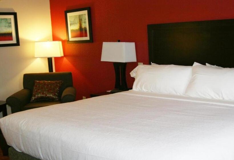 غرفة قياسية لذوى الاحتياجات الخاصة, Holiday Inn Guin, An Ihg