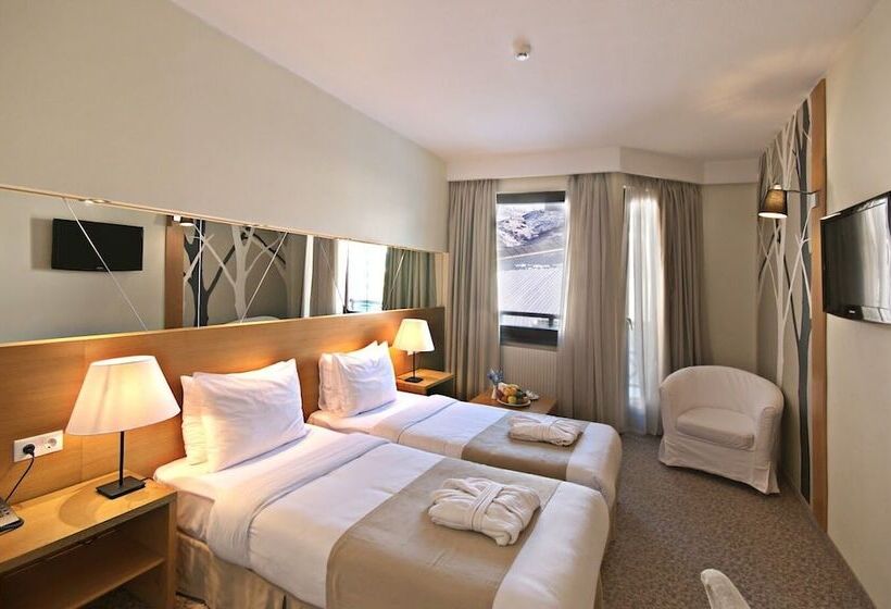 اتاق استاندارد, Marco Polo Hotel Gudauri