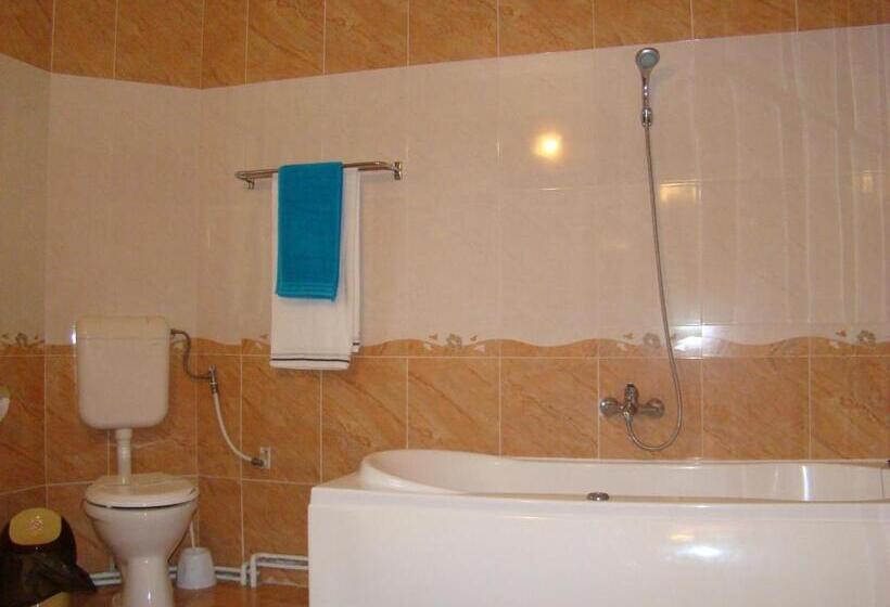 חדר סטנדרט יחיד, Pensiunea Vlad